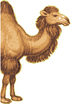 <B><font color=red>🌍 Die Idioten Pandemie 🌍</B></FONT><BR><font color=#0000FF></FONT></BR></A>
<A HREF=